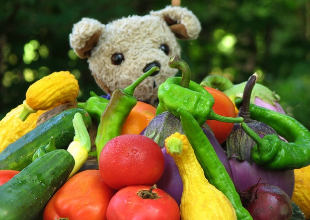 Stuffed puppy with colorful vegetables