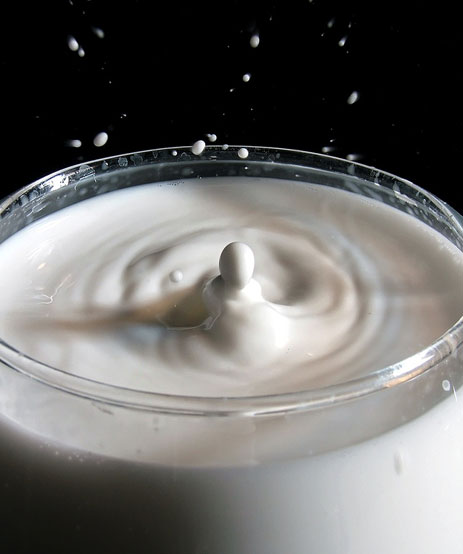 Glass of milk splashing