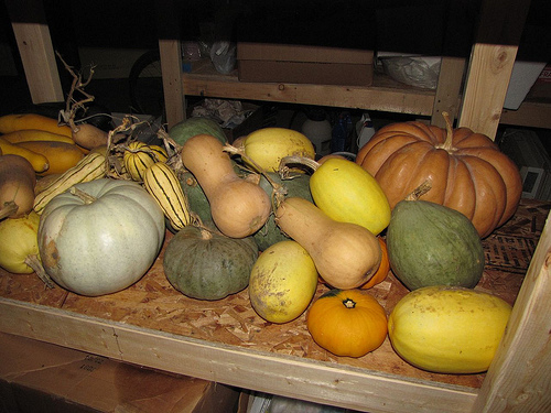 Pumpkins, squash, etc.