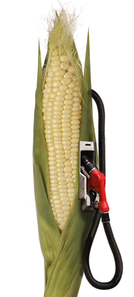 Corn and gas pump