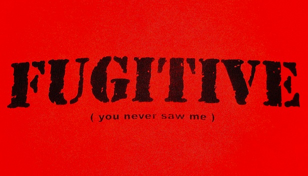 fugitive - you never saw me