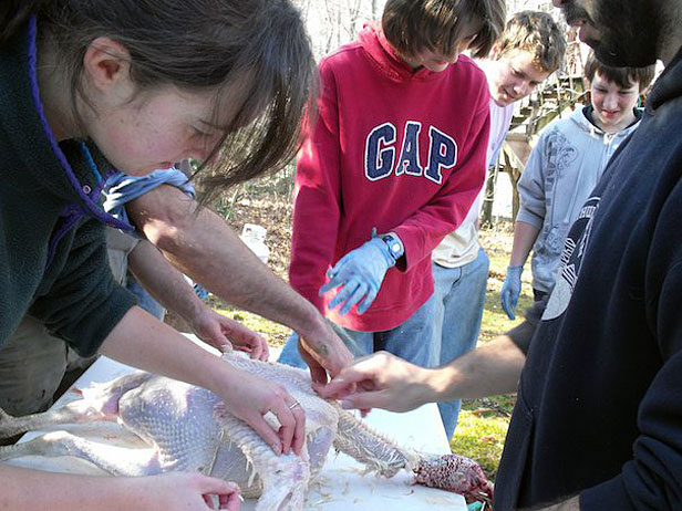 Kids plucking a turkey