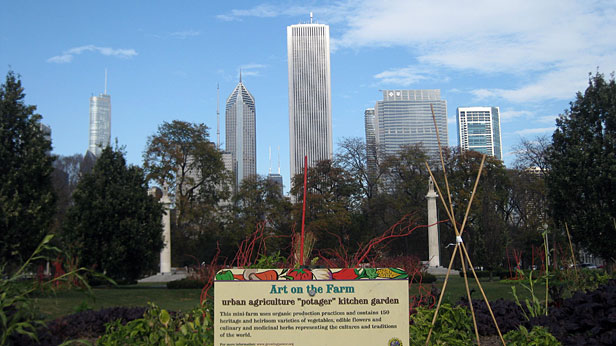 Growing Power garden in Chicago