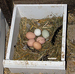Nesting drawers
