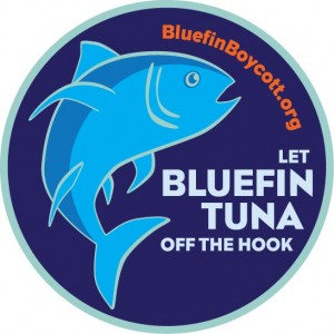 Bluefin boycott