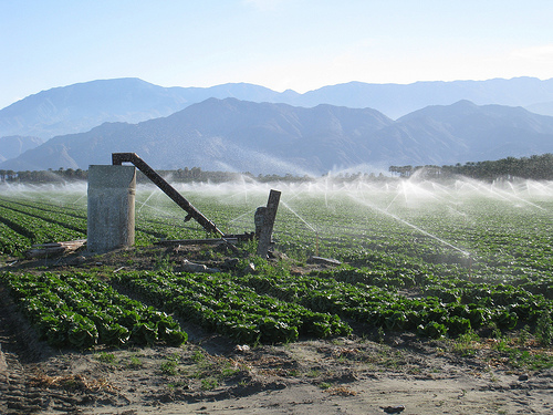 Irrigation in Southern California