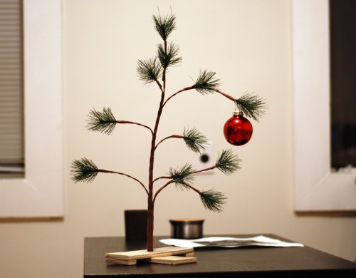 Sad little Christmas tree