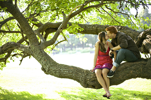 Couple kissing in a tree