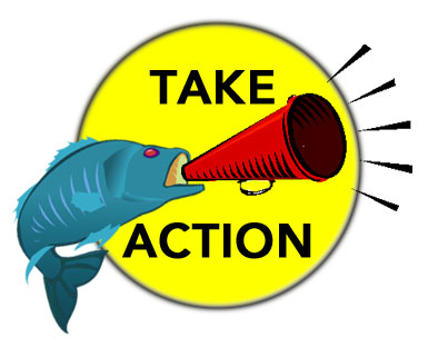 Take Action fish graphic