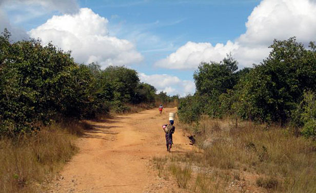 Zambia road