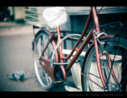 Bike close-up
