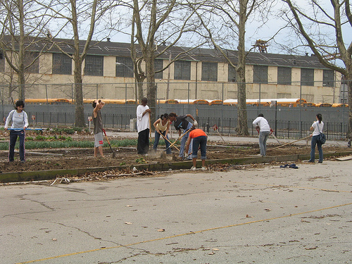 Workers at urban farm.