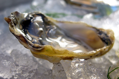 Oyster on a half shell
