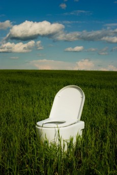 toilet in a grassy field