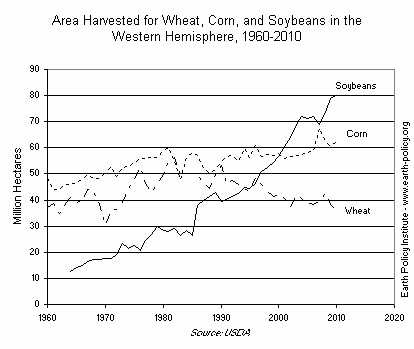 Graph of Area Harvested for Wheat, Corn, and Soybeans in the Western Hemisphere, 1960-2010