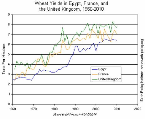 Wheat Yields in Egypt, France, and the United Kingdom, 1960-2010