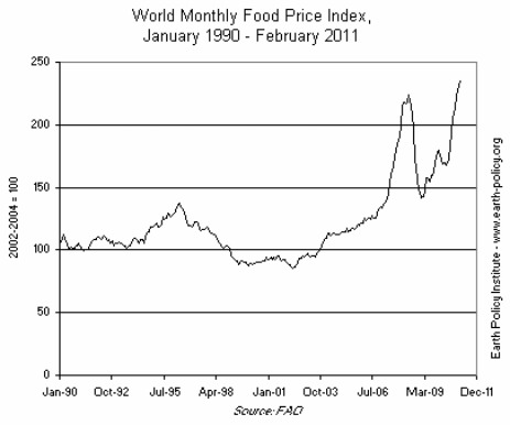 World Monthly Food Price Index, January 1990 - February 2011