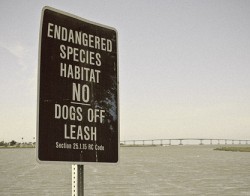 "endangered species habitat" sign