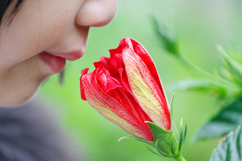 flower scent