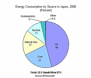 Energy Consumption by Source in Japan, 2008
