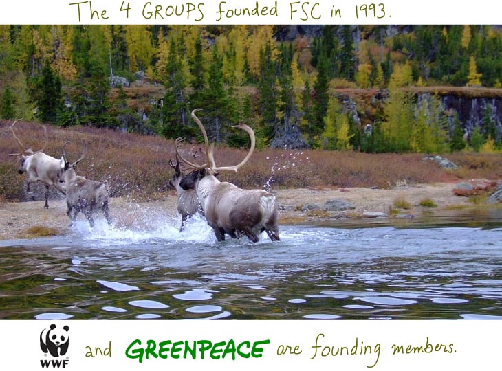 The four groups founded FSC in 1993. WWF and Greenpeace are founding members.