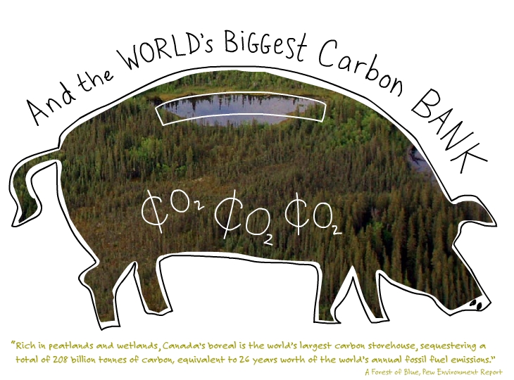 And the world's biggest carbon bank.