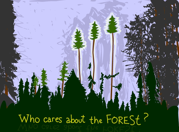 Who cares about the forest?