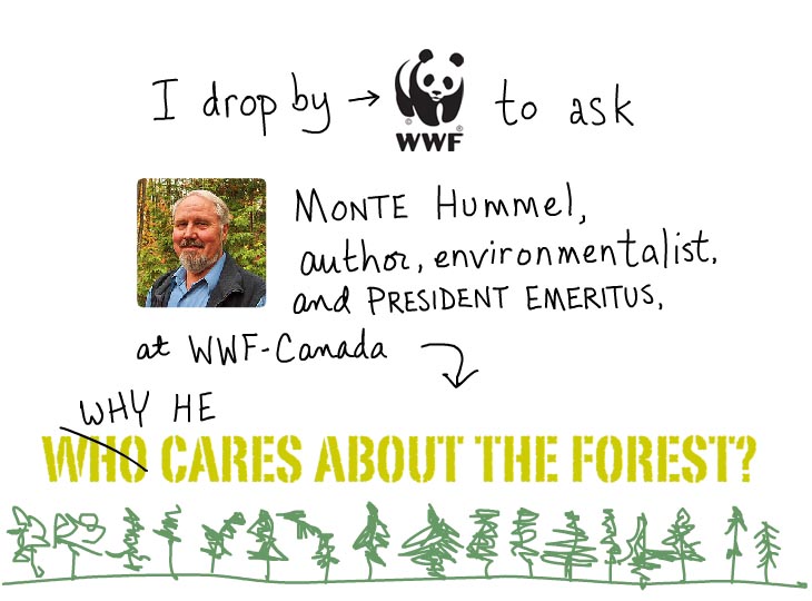 I drop by WWF to ask Monte Hummel why he cares about the forest.