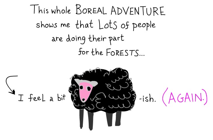 This whole boreal adventure shows me that lots of people are doing their part for the forests. I feel a bit sheepish again.