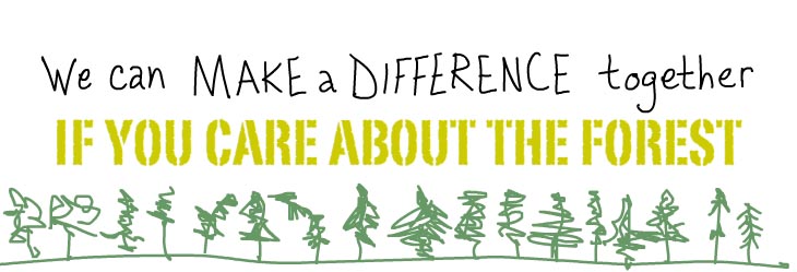 We can make a difference together if you care about the forest.