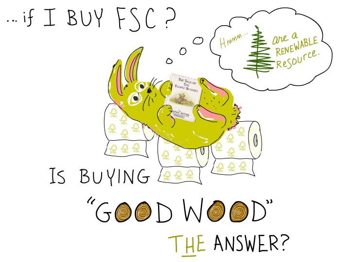 if I buy FSC? Is buying good wood the answer?