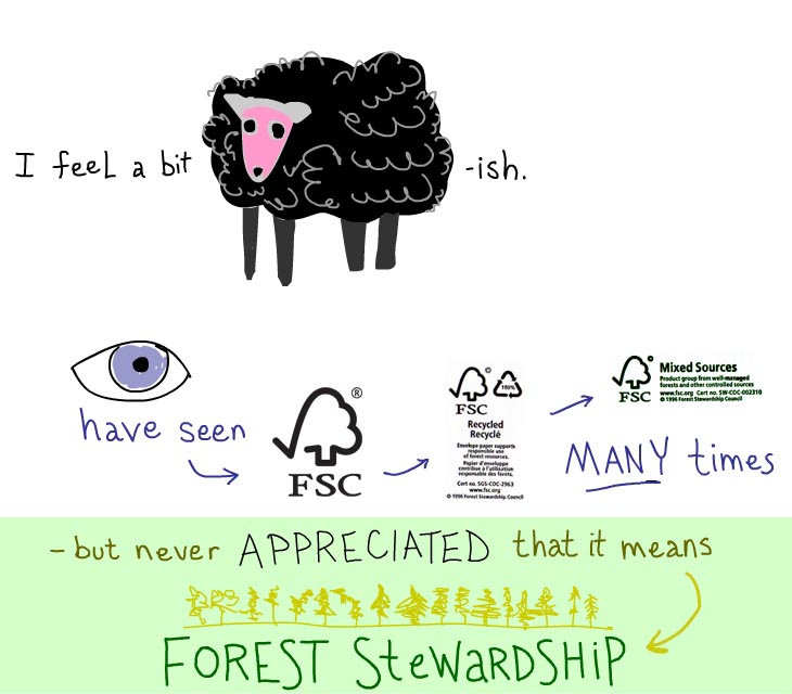 I feel a bit sheepish. I have seen FSC many times but never appreciated that it means forest stewardship.