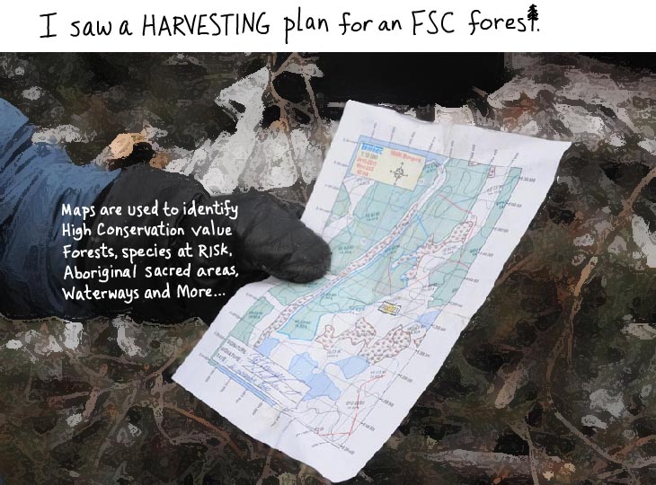 I saw a harvesting plan for an FSC forest.