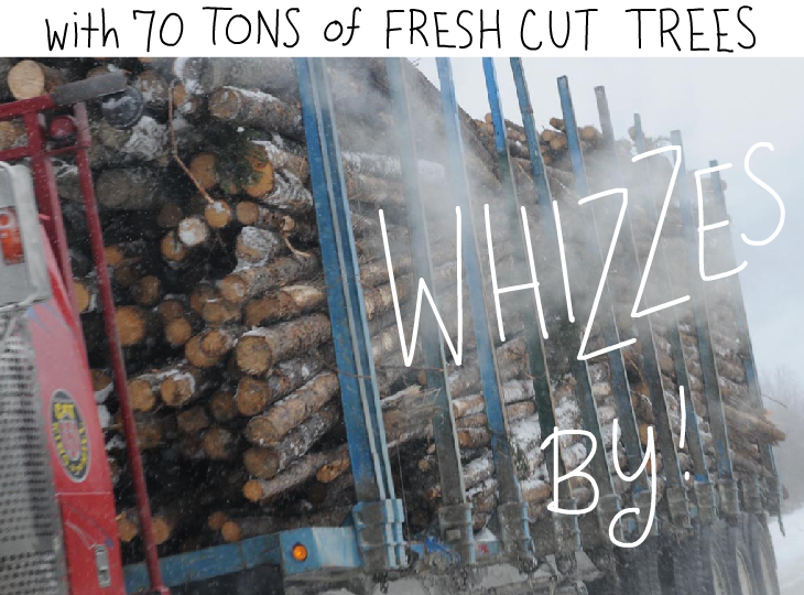 with 70 tons of fresh cut trees whizzes by.