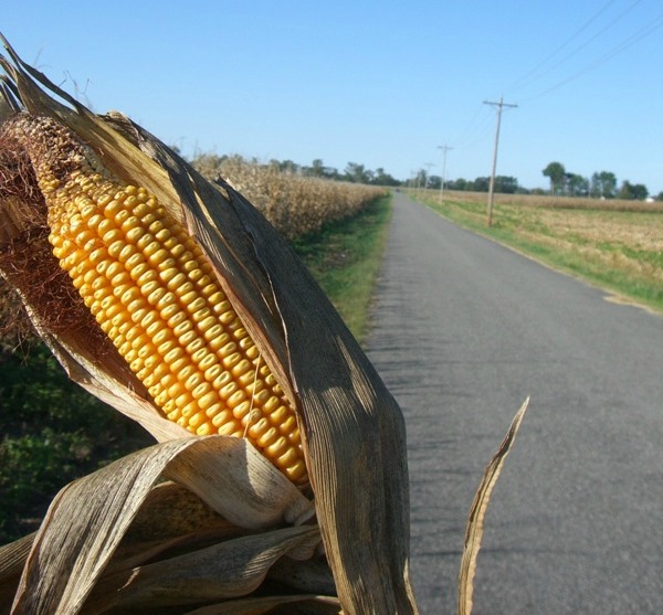 Corn ethanol.