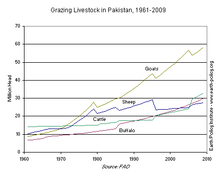 Graph on Grazing Livestock in Pakistan, 1961-2009