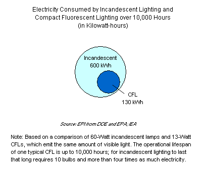 Graph on Electricity Consumed by Incandescent Lighting and Compact Fluorescent Lighting over 10,000 Hours (in Kilowatt-hours)