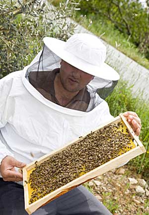 a beekeeper