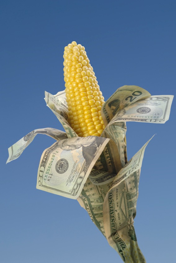 corn cash