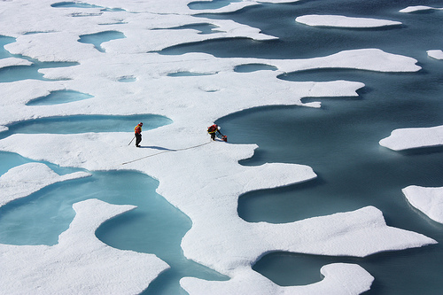 arctic ice ponds