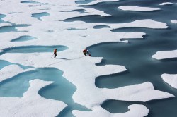 Image (1) arctic-sea-ice-ponds-flickr-nasa.jpg for post 48962