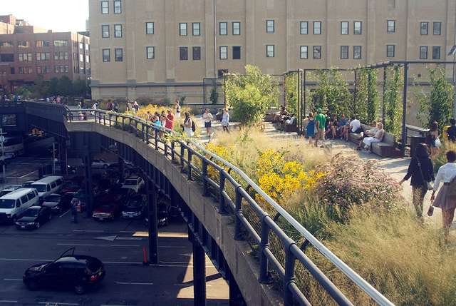 New York City’s High Line Park. Nature is everywhere, if you know where to look.