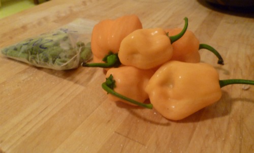 Hops and habaneros.