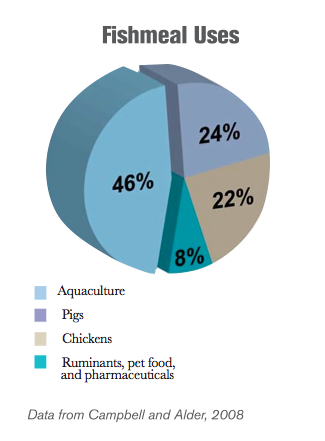 fishmeal use pie chart