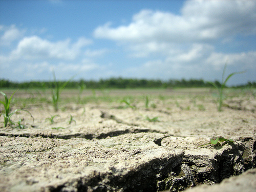 Texas drought.