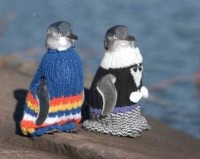 penguin sweaters