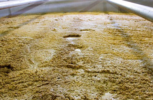 fermenting grains