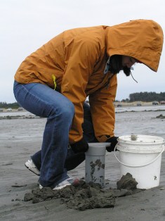 Clammed up: Digging for local, sustainable protein on a muddy