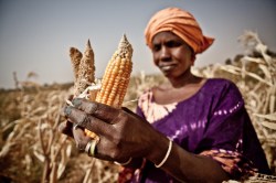 african-woman-corn-drought-oxfam
