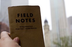 field_notes_luz